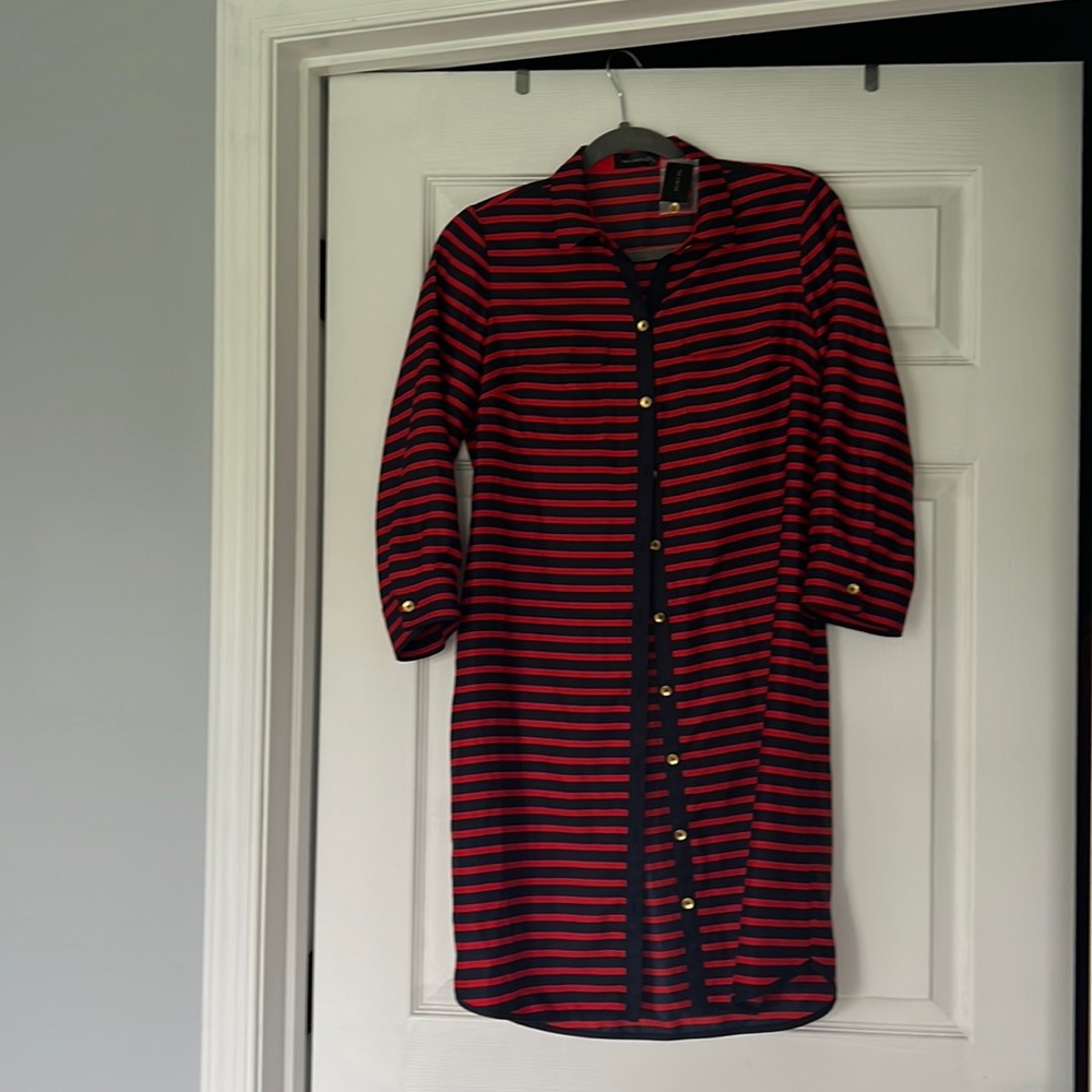 The Limited Red Blue Striped dress